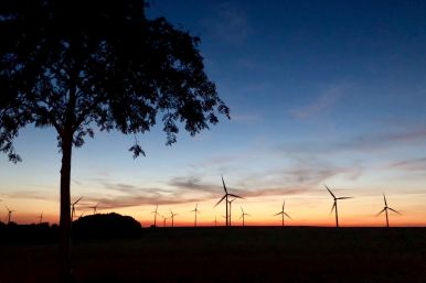 Tilting at Modern Windmills - Simge Başmak